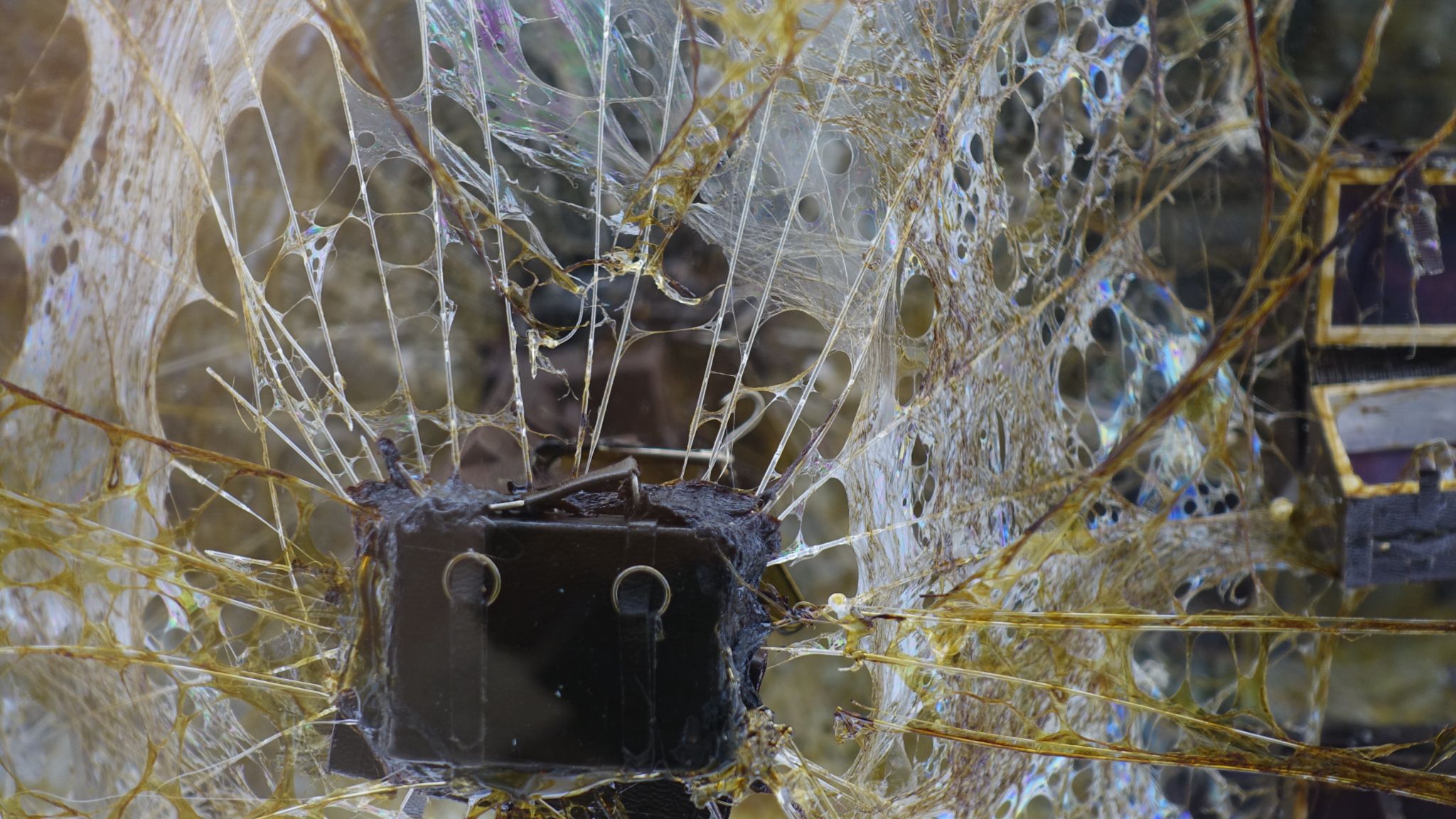 Detalhe 2